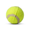 3 pack Yellow Tennis Ball – Durable